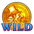 Gold coin with a face and WILD label.