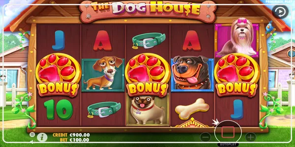 Bonus Game