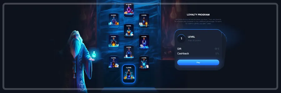 Bonuses And VIP System